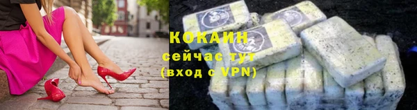 шишки Наволоки