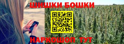 дживик Бийск