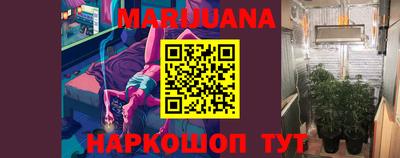 спиды Гай