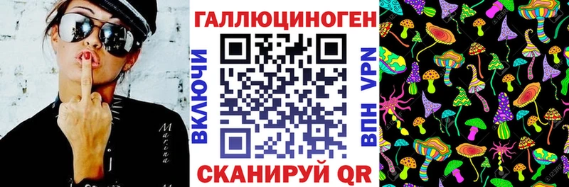 Псилоцибиновые грибы Psilocybine cubensis  Железноводск 