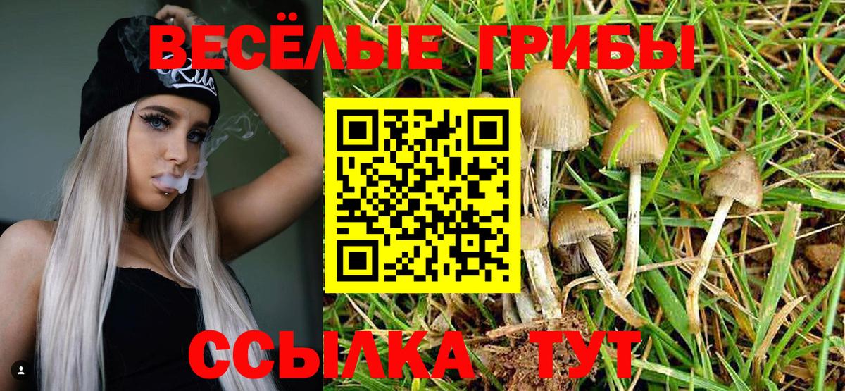 Мефедрон   Железноводск  Кокаин  NBOMe  Вход с VPN  Гашиш  МАРИХУАНА 