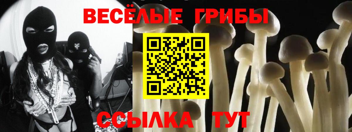 Галлюциногенные грибы GOLDEN TEACHER Железноводск