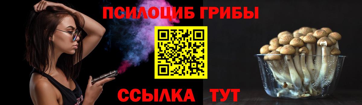 Железноводск  Галлюциногенные грибы Cubensis  цена   Вход с VPN 